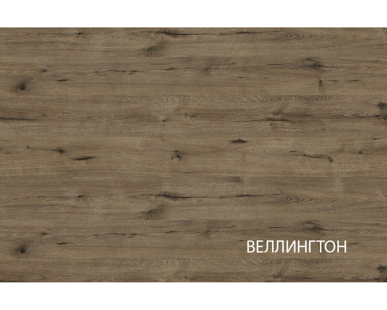 VINATI, Тумба RTV 2D1SN. Цвет ПЕРСИДСКИЙ ЖЕМЧУГ/ АМАРОК