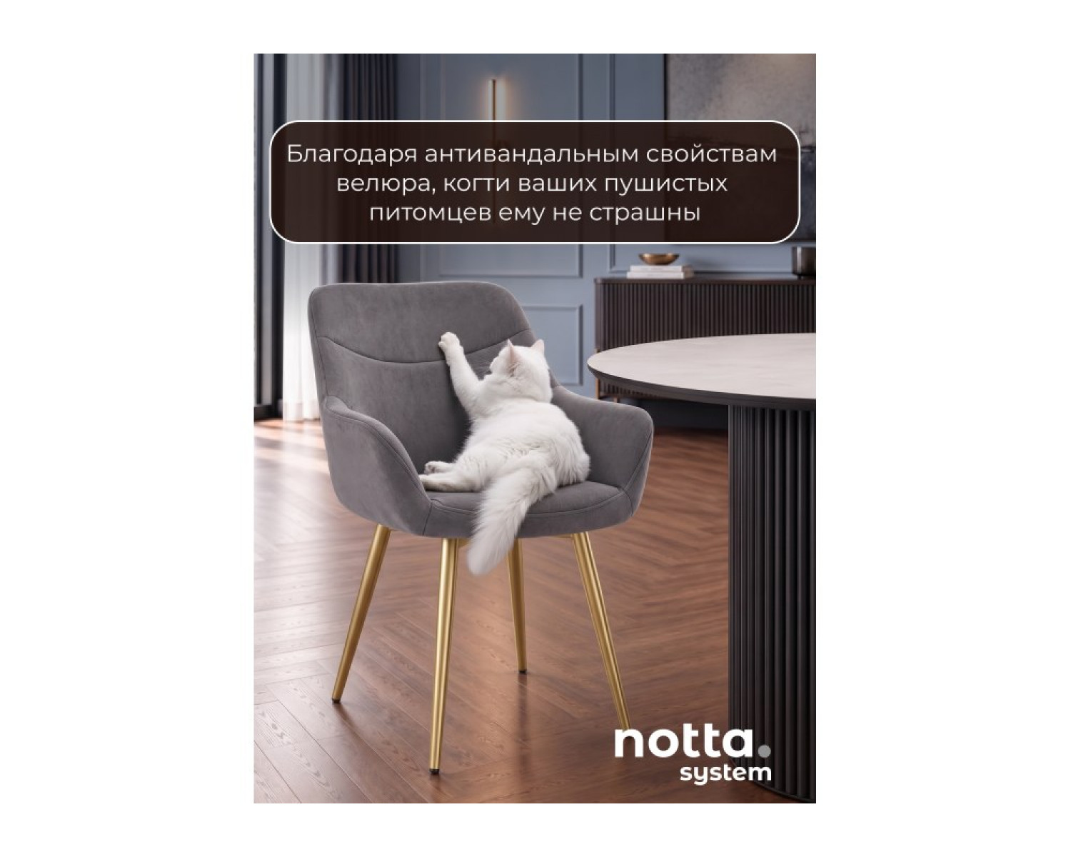 Стул на металлокаркасе Флюид 360 темно-серый (zd 995) / золотой