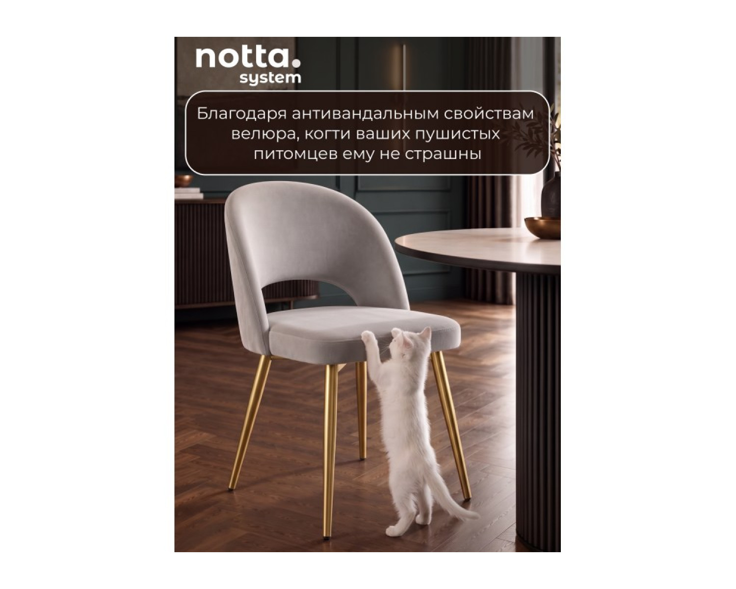 Стул на металлокаркасе Курбис 360 светло-серый (zd 960) / золотой